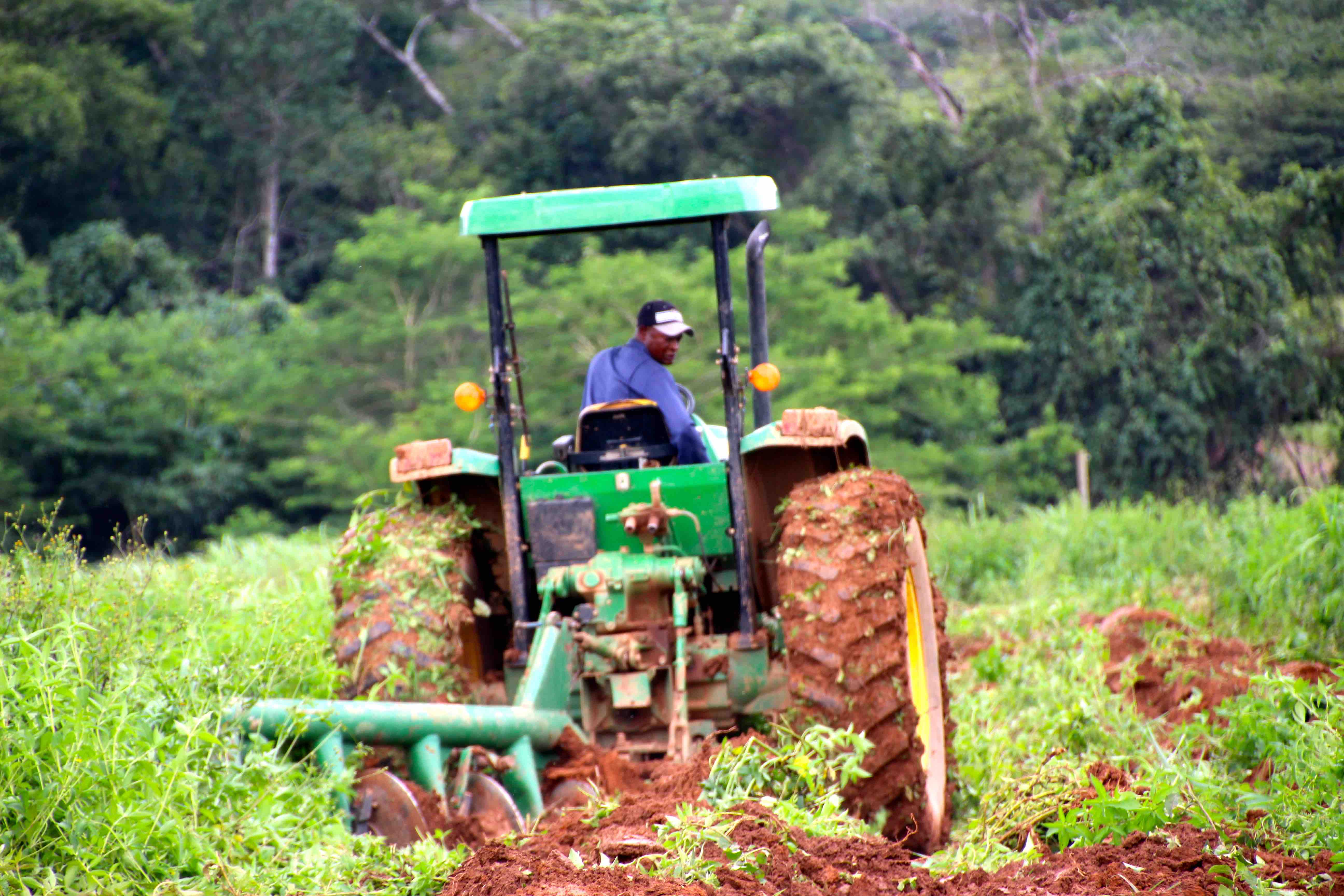 Tonkpi: Lancement du projet PDMA qui améliore le niveau de vie des agriculteurs