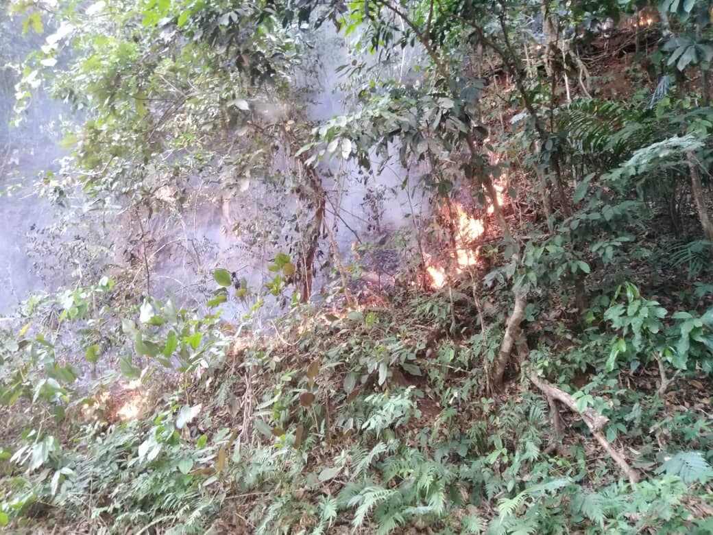 Tonkpi / Forêt classée du mont Tonkpi : Plusieurs dizaines d’hectares partent en feu