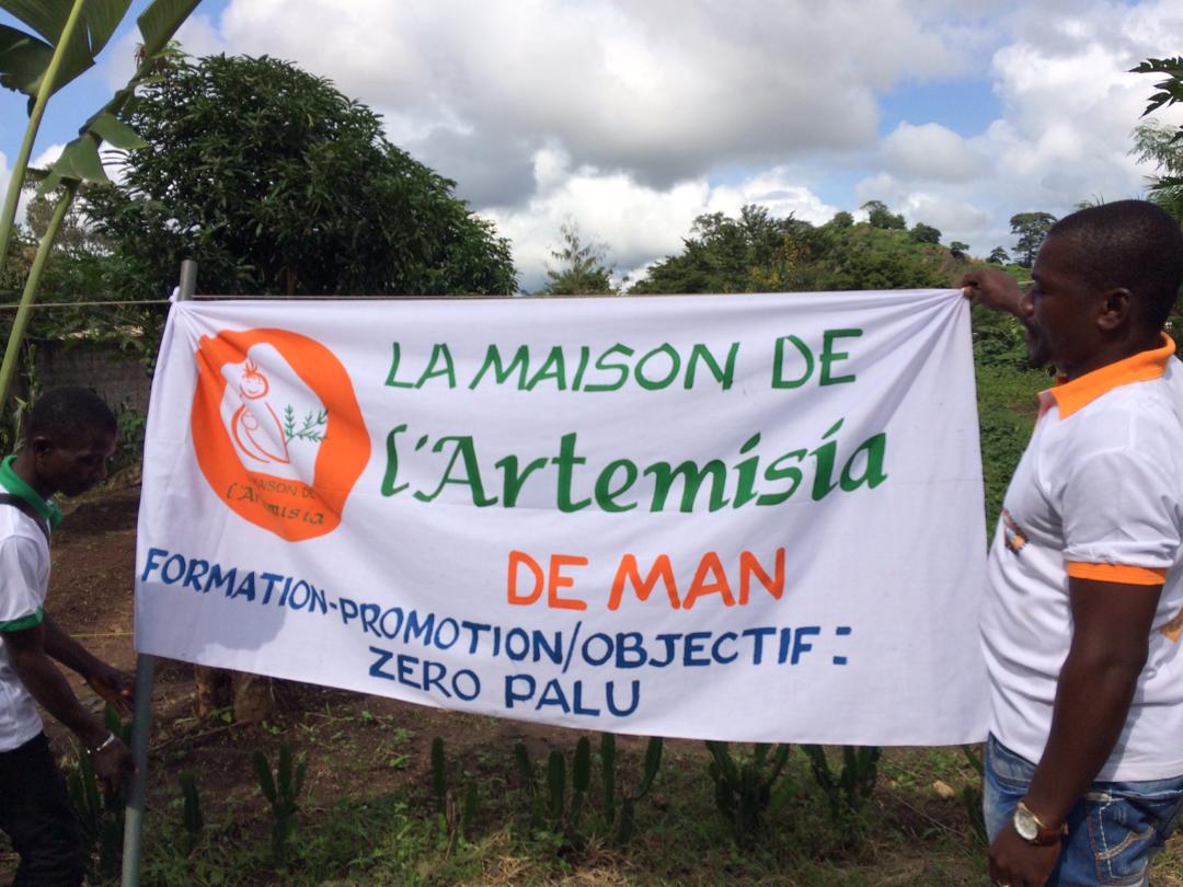Man/ Journée mondiale de lutte contre le paludisme : Les bienfaits de l'Artemisia présentés