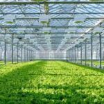 Programme "GreenAPI Smart Agriculture "/ Les Candidatures ouvertes jusqu'au 16 octobre 2023 à 23h59 GMT.