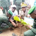 Touba/ Journée nationale de l'arbre : Les populations invitées à contribuer à la reconstitution du couvert forestier