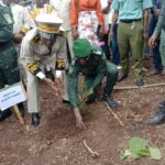 Man/ Journée nationale de l'arbre : La population invitée à s'approprier la reconstitution de la forêt