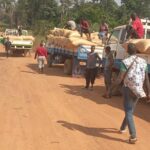 Sipilou/ La gendarmerie intercepte 110 sacs de cacao en partance pour la Guinée