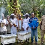 Conservation de la réserve naturelle intégrale du Mont Nimba : L'OIPR appui les communautés de Bouan-houyé dans l'apiculture