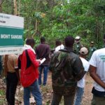 Au coeur du Mont Sangbé : Une immersion inoubliable dans un sanctuaire de biodiversité