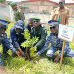 Man: GS2E plante 280 arbres au CHR pour allier santé et environnement
