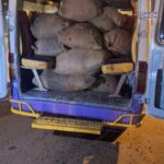 Duékoué: La police dejoue un vol de cacao, sept individus interpellés