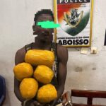 Aboisso: Un électricien arrêté avec cinq ballons de cannabis OD KUSH