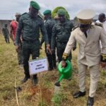 JNP 2025: La cérémonie marquée par un grand planting d'arbres à Man