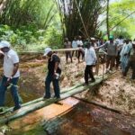 Mont Nimba: Des experts à la découverte des merveilles de la nature